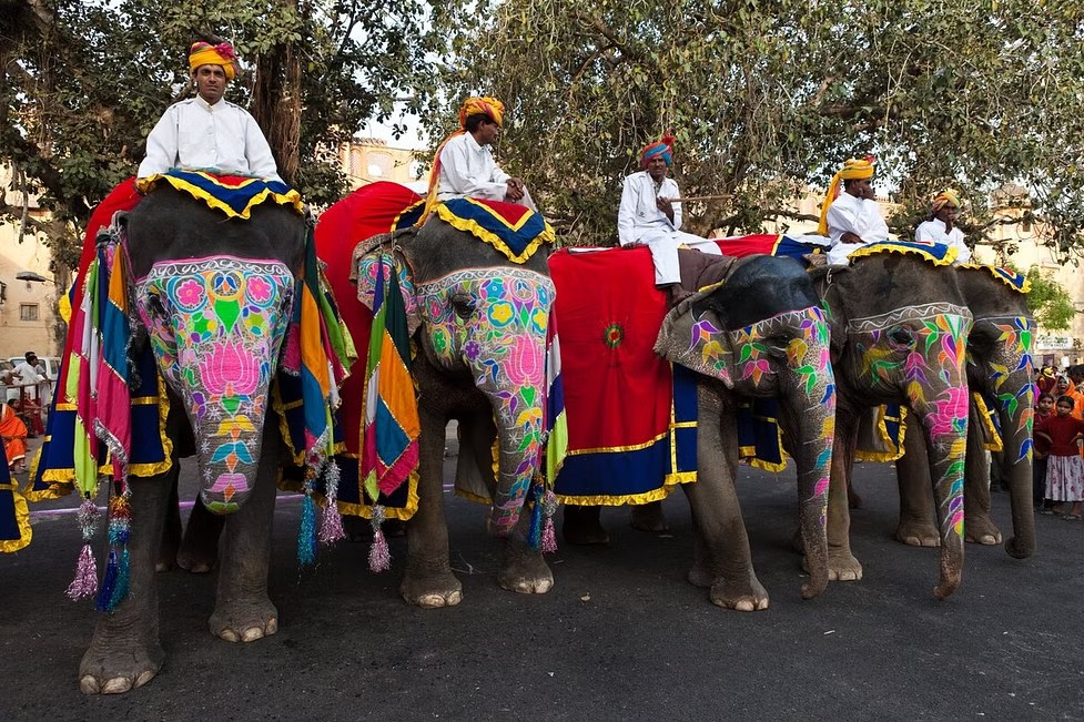 Painted elephants at the festival